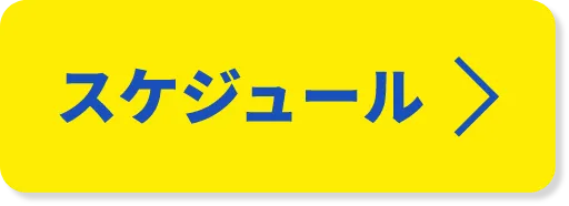 スケジュール